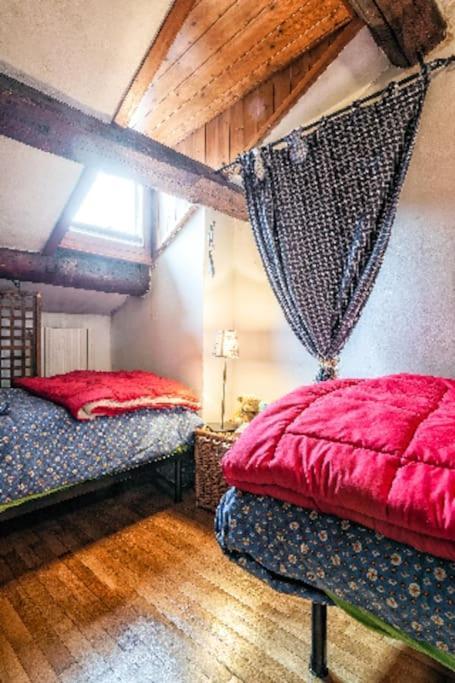 Loft Overlooking The Old Town . Feltre Eksteriør billede