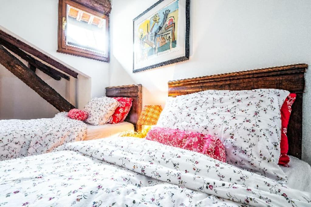 Loft Overlooking The Old Town . Feltre Eksteriør billede